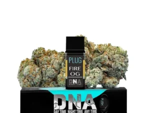 PLUGplay | PLUG™ DNA: Fire OG Pod – 1.0g