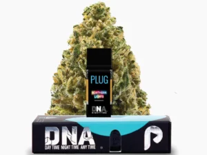 PLUGplay | PLUG™ DNA: Northern Lights Pod – 1.0g