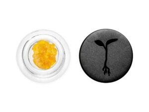 RAW GARDEN | Lemon Sour Diesel – Live Resin – 1.0g