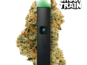 PLUGplay | JUSTplay™ Ghost Train All-in-One Pen – 1.0g