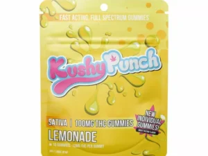 Kushy Punch Lemonade Gummies (S) - Individual