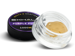 SHATTER – PURPLE PUNCH