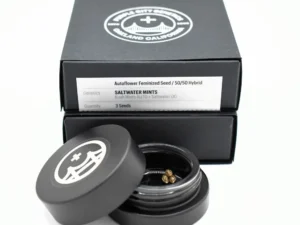 Saltwater Mints Autoflower Seeds (3-pack)- PURPLE CITY GENETICS