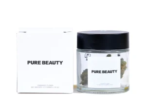 Pure Beauty Terry T x Gelato 33 (2:1 High CBD) 3.5 Grams (1/8 Ounce)