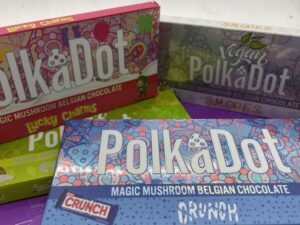 Buy Polka Dot (3 PACKS) Online